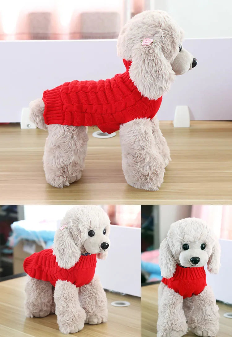 Blue wool dog sweater with twisted rope texture on a small dog, showing chest and back fit.