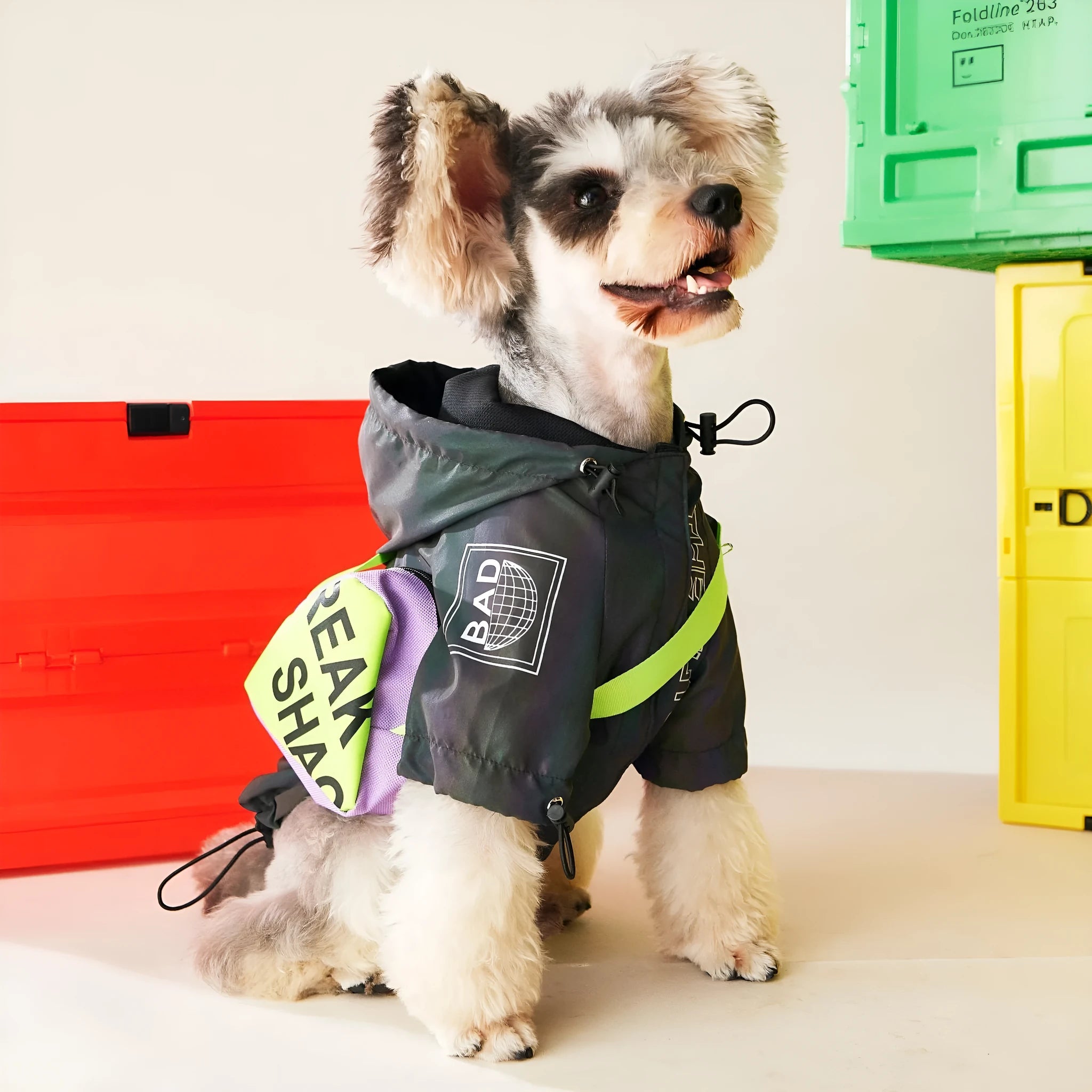 Casual polyester dog jacket in Jackets colour, two-legged style for autumn