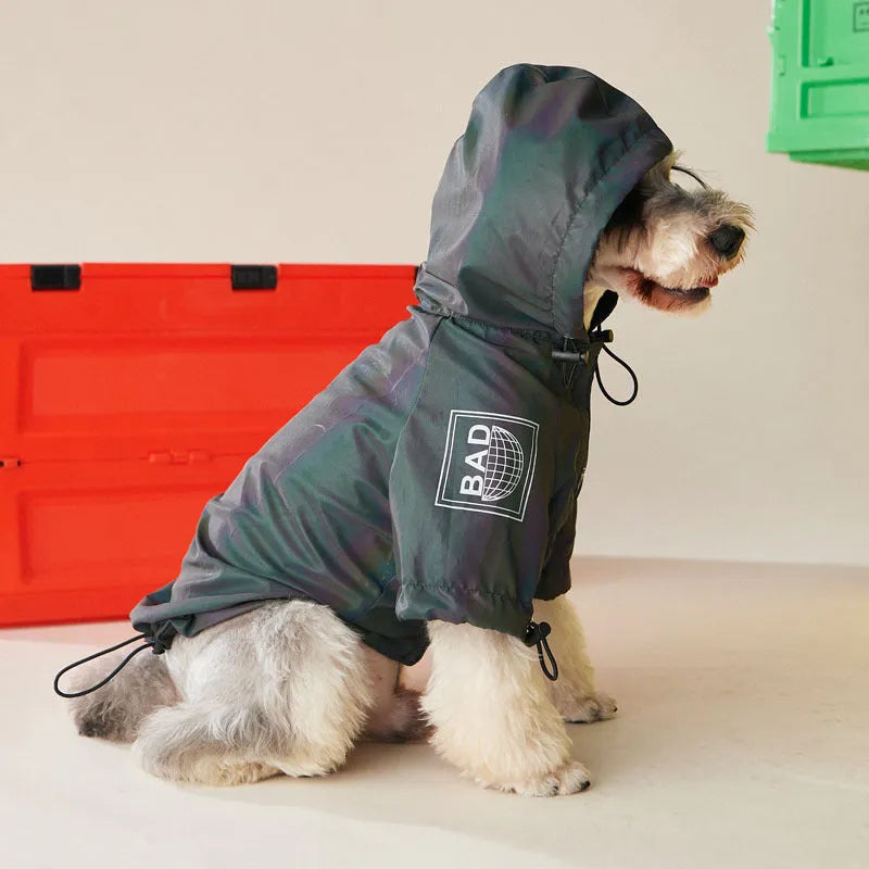 Casual polyester dog jacket in Jackets colour, two-legged style for autumn