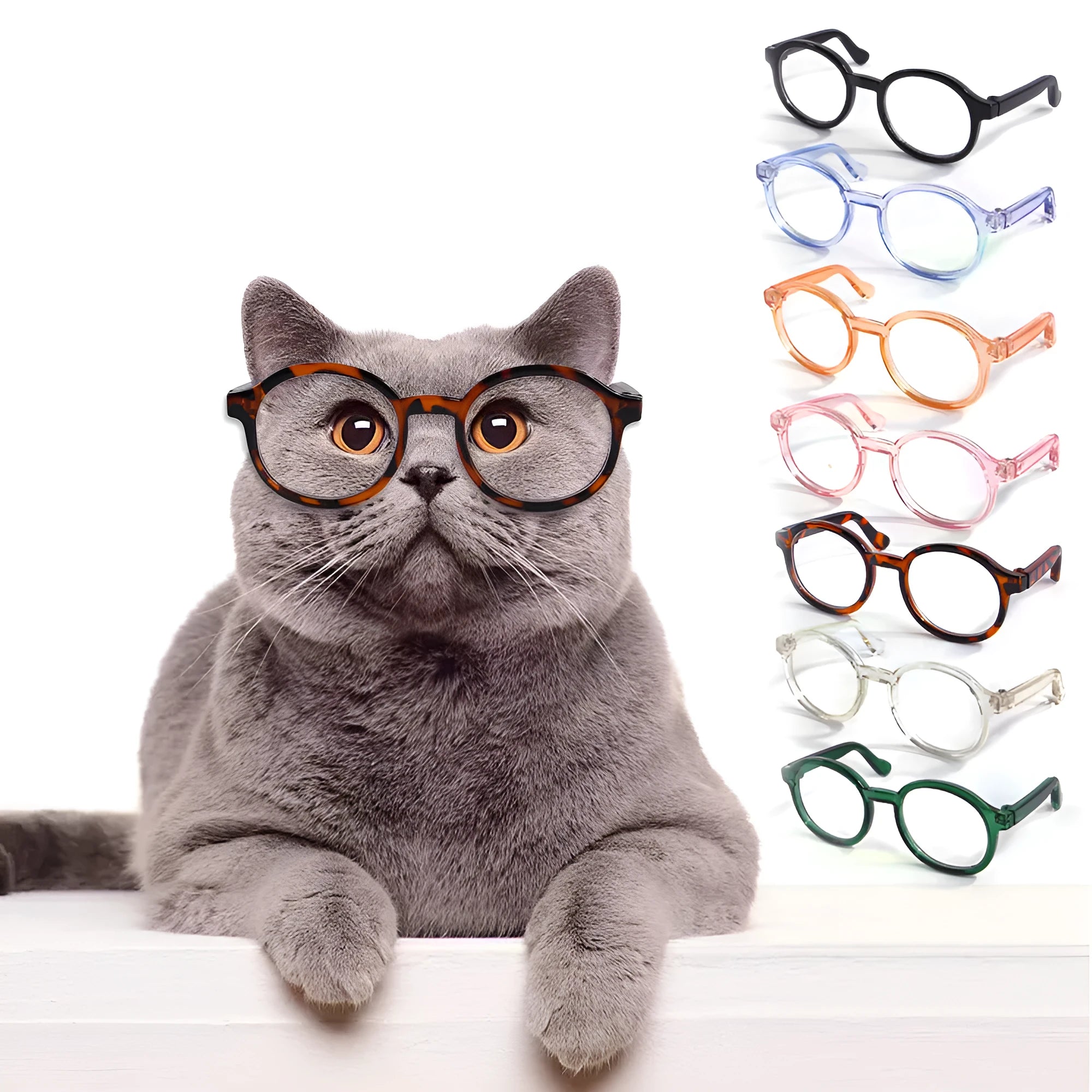 Plastic transparent cat glasses in seven colour options including black, pink, and leopard print