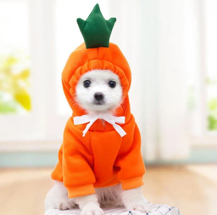 Fruit-themed fleece hoodies for small dogs in various designs and sizes