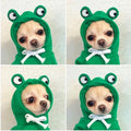 Cute fruit-pattern fleece dog hoodie for small breeds, winter warm pet clothing