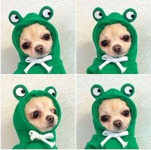 Cute fruit-pattern fleece dog hoodie for small breeds, winter warm pet clothing
