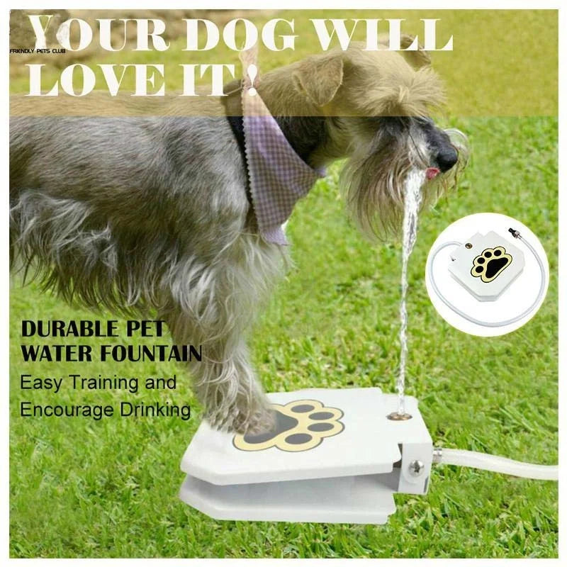 Household Pet Intelligent Automatic Water Dispenser with leak-proof valve and durable steel construction