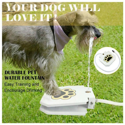 Household Pet Intelligent Automatic Water Dispenser with leak-proof valve and durable steel construction