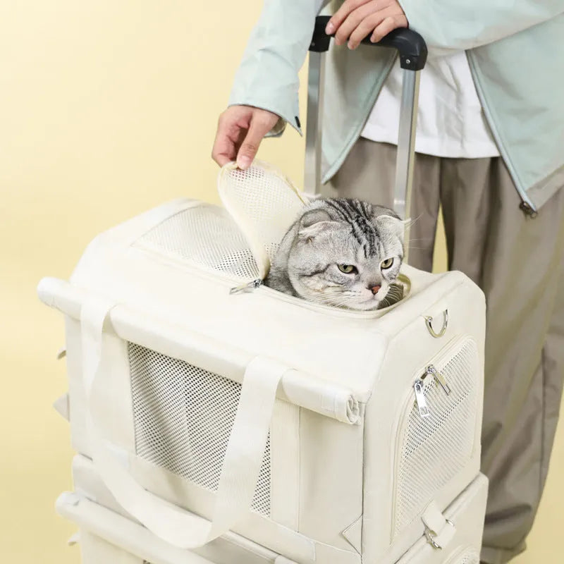 Pet trolley double-deck bus cat bag in solid colour with wheels and nylon body