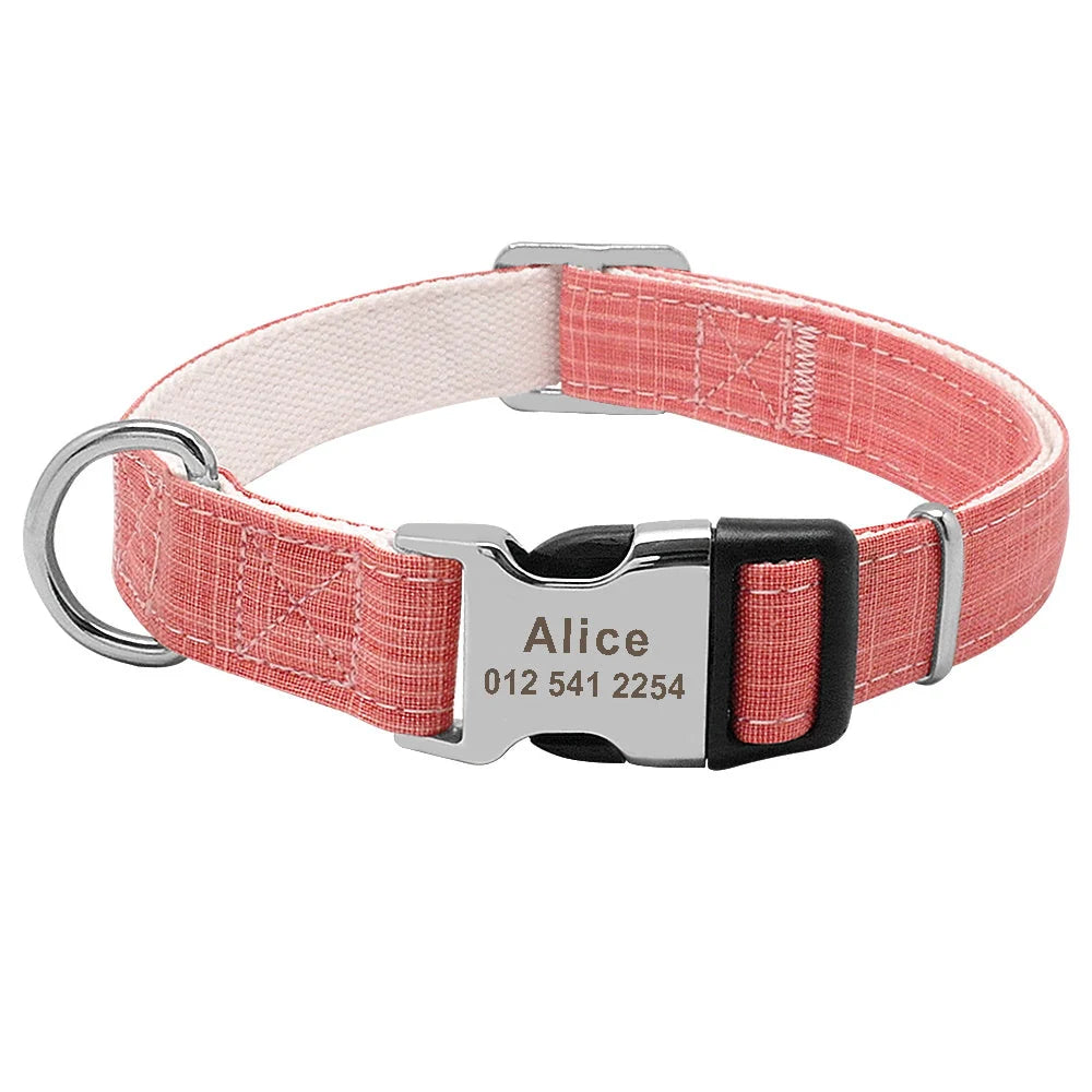 Custom dog collar with engraved tag in vibrant colours, adjustable for medium to large breeds
