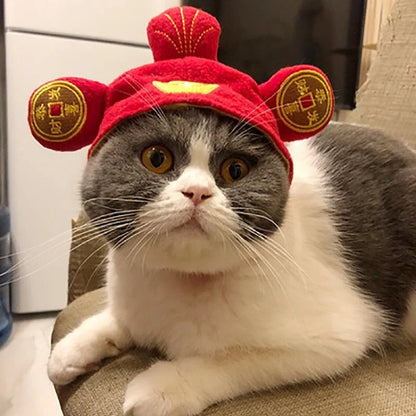 Cartoon-style cloth hat for cats in various designs, perfect for warmth and style