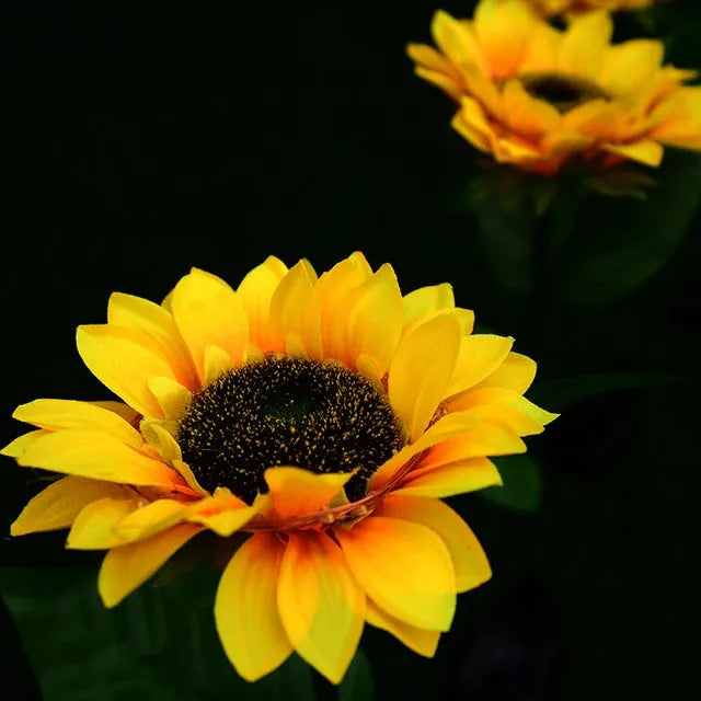 Yellow LED solar sunflower lamp on a lawn with a 66cm stem and 15cm flower head