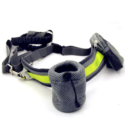 Adjustable hands-free dog leash set in gray, black, green, and red options