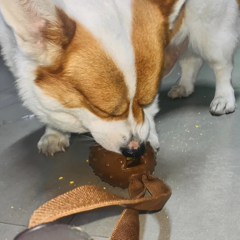 Brown coffee bean shaped TPR dog chew toy with rope knot and multiple holes