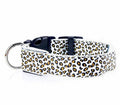 LED dog collar with adjustable nylon strap and leopard print, showing LED light modes on a pet's neck