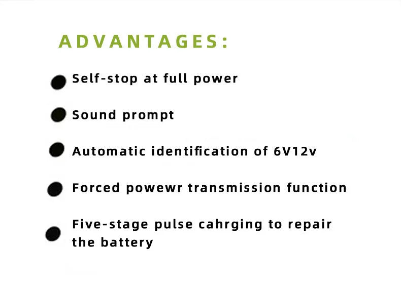 BT 168 model 12V and 24V intelligent automobile battery charger with American plug.