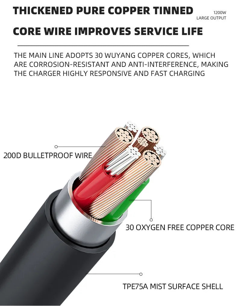 BT 168 model 12V and 24V intelligent automobile battery charger with American plug.