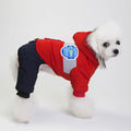 Dog snow coat in blue, grey, and red wool with four-legged back design and cotton lining