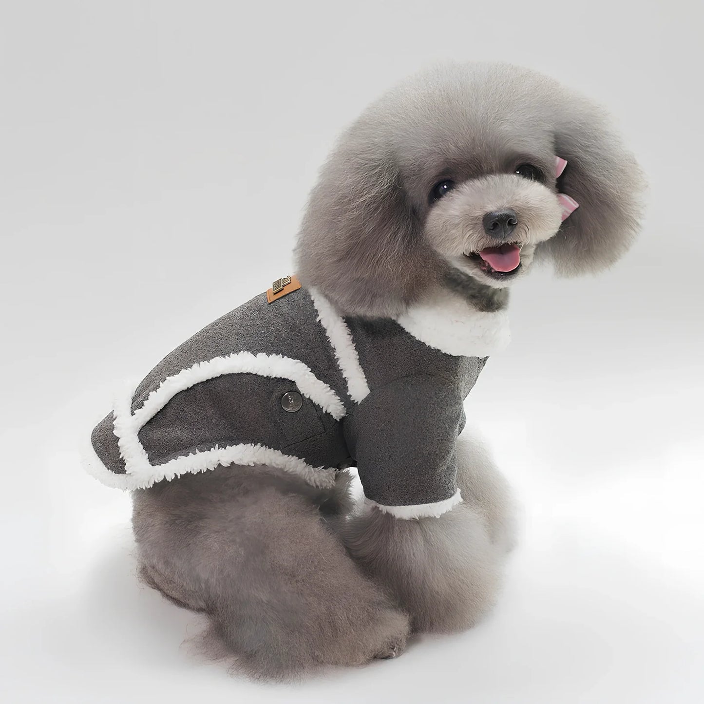 Thick warm velvet jacket for French Bulldog in dark grey, size L with 32cm back length