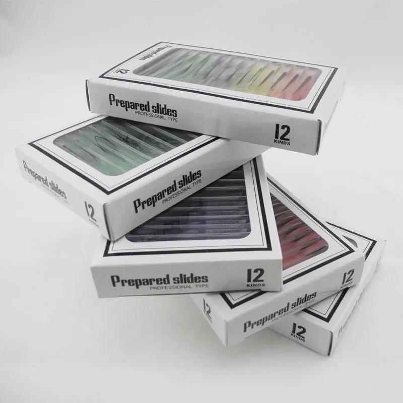 48 plastic microscope slides with plant and animal specimens in colour-coded boxes for children's science observation