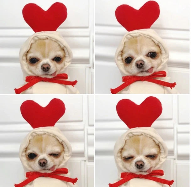 Two-legged hooded fleece outfit for dogs in fruit green, perfect for cooler weather