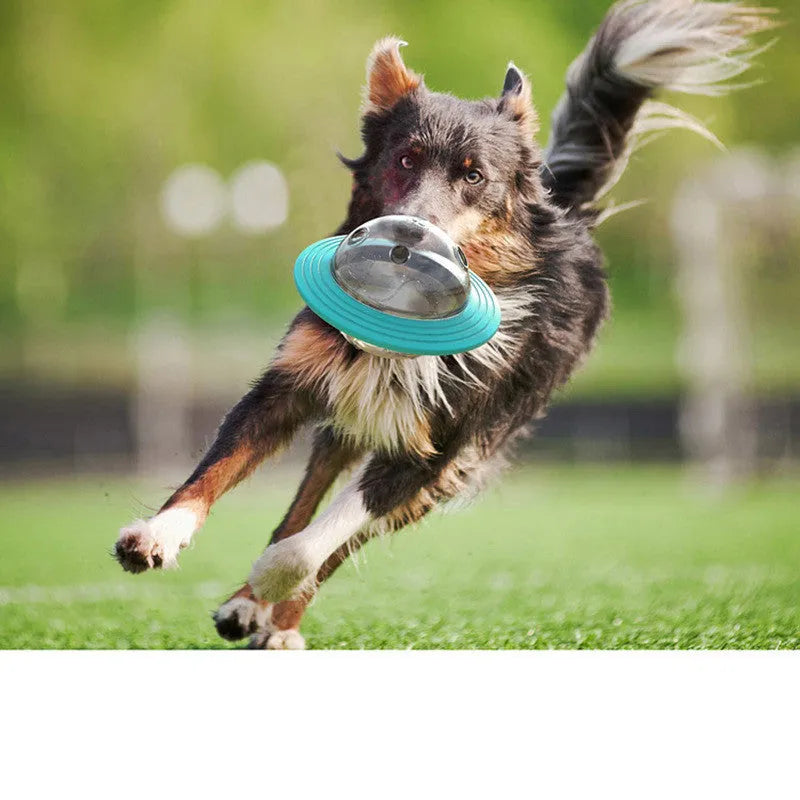 Missing food educational toy in Lake Blue plastic with leak-feeding hole for dogs and cats