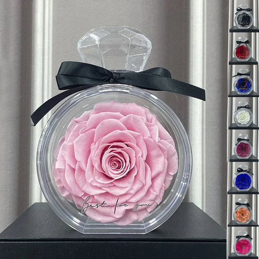 Preserved dried flowers in a transparent display case, available in a variety of colors including red, pink, plum, sapphire blue, and more.