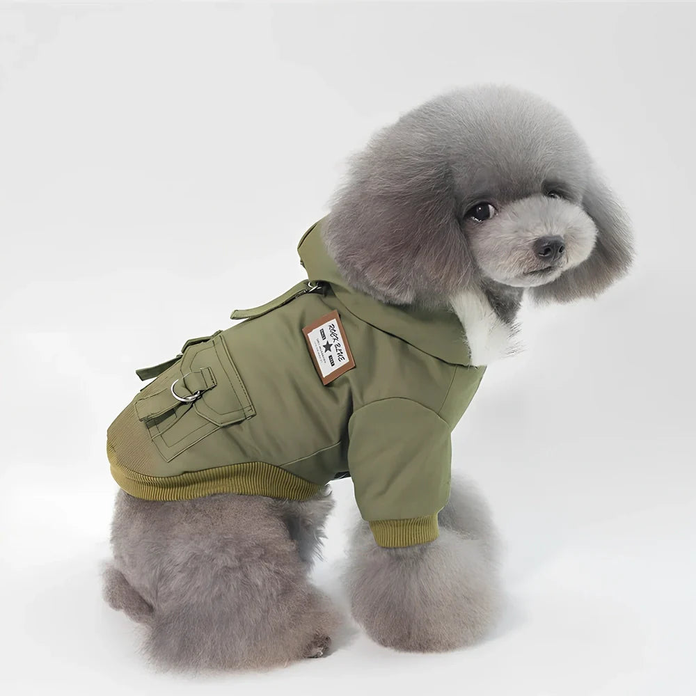 Grey cap dog coat hoodie on small breed like Chihuahua, warm wool blend for autumn winter, sizes S-XXL available