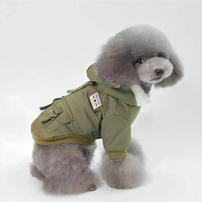 Grey cap dog coat hoodie on small breed like Chihuahua, warm wool blend for autumn winter, sizes S-XXL available