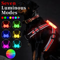 LED dog walking vest with seven-colour optical fibre light and explosion-proof straps on a dog outdoors at night