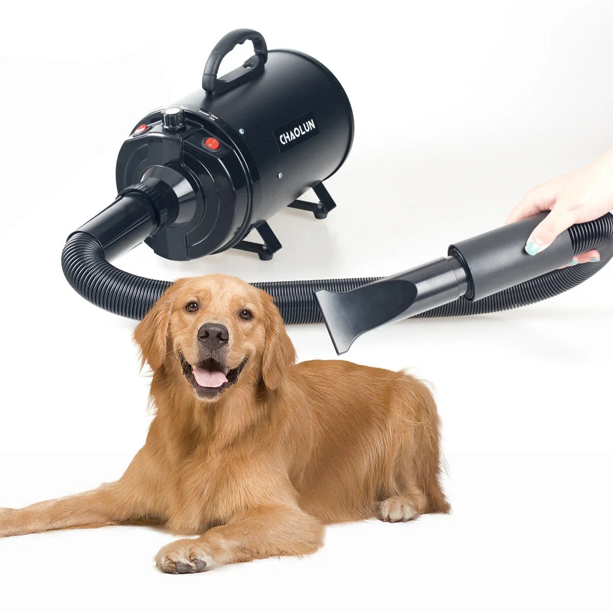 High-power mute pet hairdryer in black, white, pink, and blue for quick drying of pets