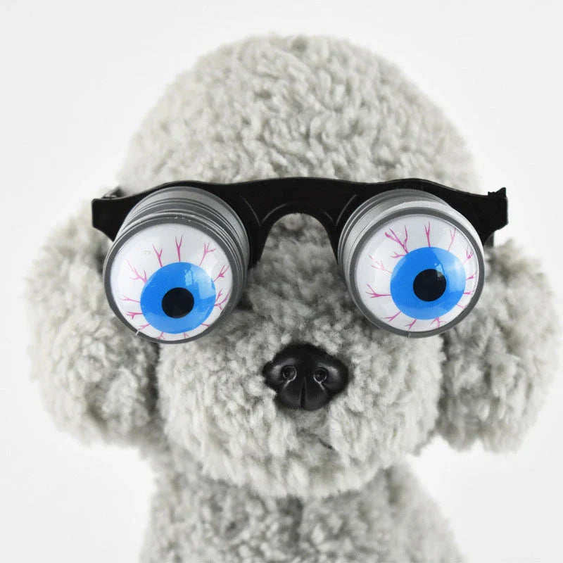 Stylish pet glasses in white with round lenses and ultra-thin frames, a must-have Kiwi accessory for your furry friend