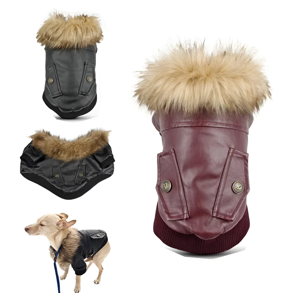 Dog wearing a wine red PU leather coat with faux fur collar and double pockets