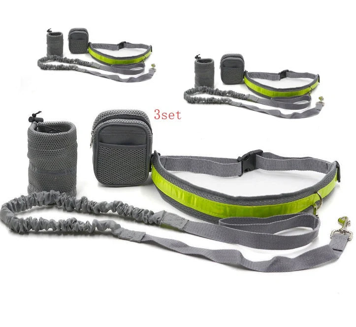 Adjustable hands-free dog leash set in gray, black, green, and red options