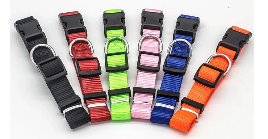 Soft nylon pet collar in various colours, adjustable for cats and dogs