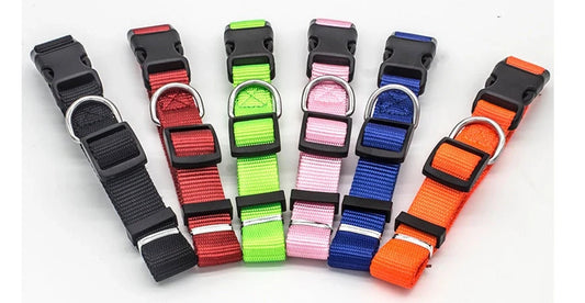 Soft nylon pet collar in various colours, adjustable for cats and dogs