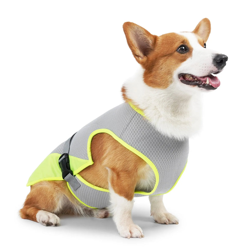 Light grey breathable mesh dog cooling vest for heatstroke prevention on a dog model