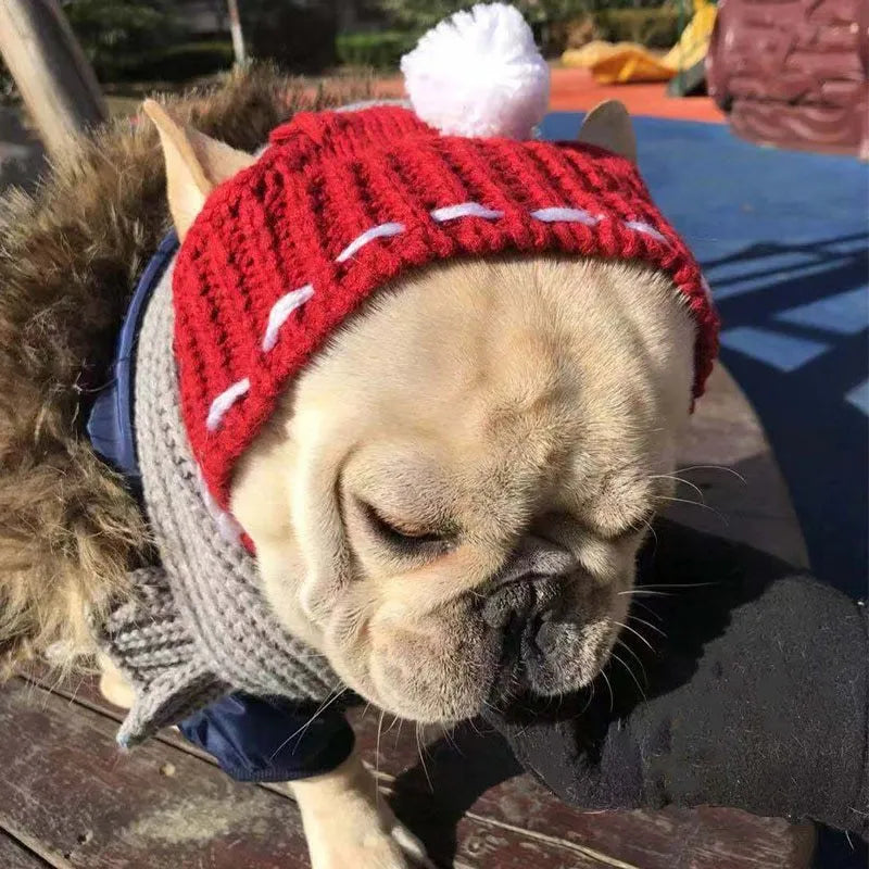 Woolen hat for female dogs in grey red green solid pattern 100% cotton one size winter cap