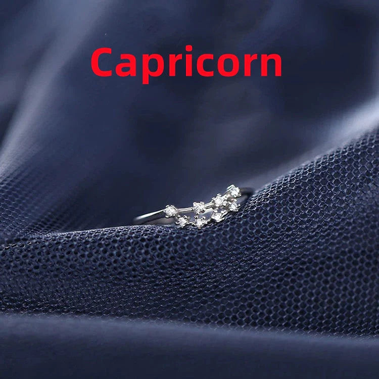 Silver Zodiac Sign Ring with detailed astrology symbols, electroplated for durability