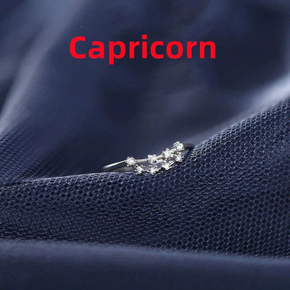 Silver Zodiac Sign Ring with detailed astrology symbols, electroplated for durability