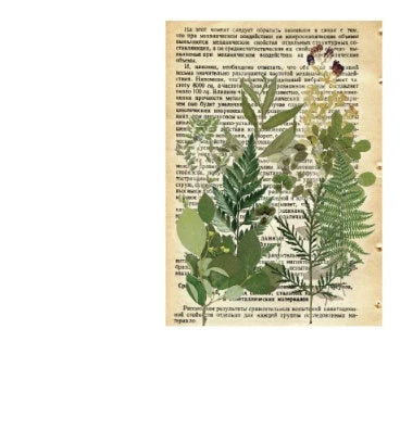 Herbarium series DIY plant stickers pack of 10, featuring durable pet+art paper and white ink designs