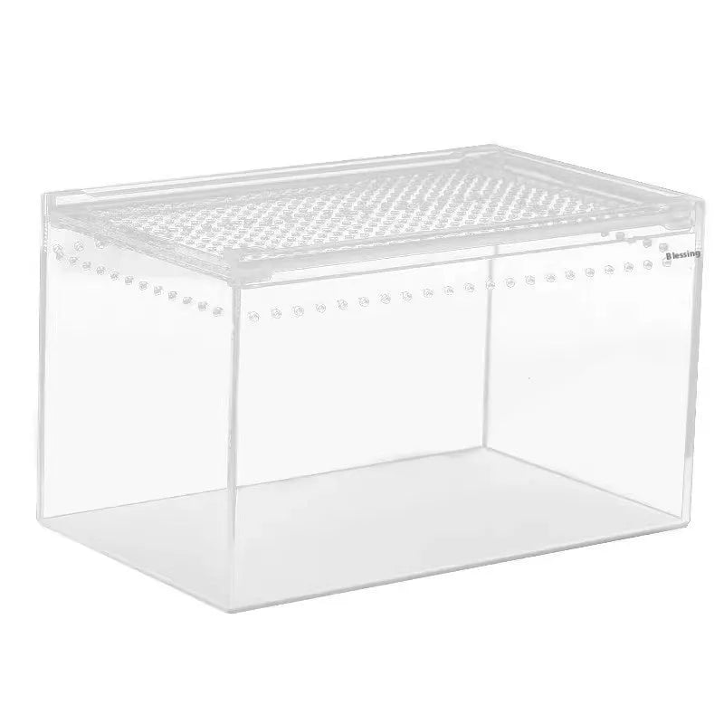 Transparent acrylic reptile feeding box showing dimensions and clear construction for crawler pets