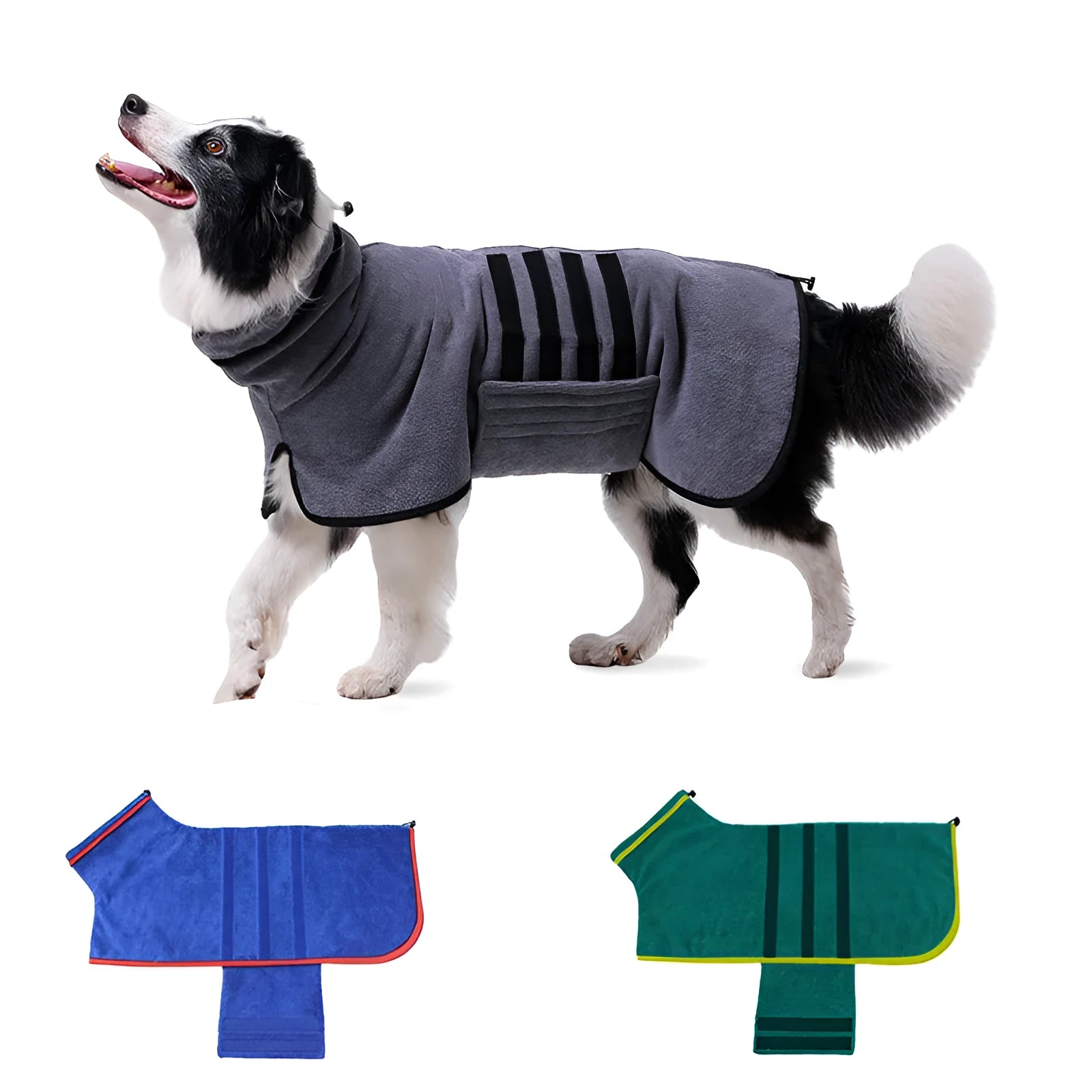Dog bathrobe in blue with adjustable fastening on a small dog after a bath