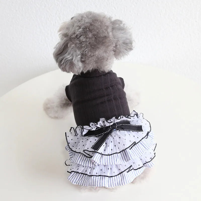 Polka dot lace cake dress for dogs in princess style available in three colours