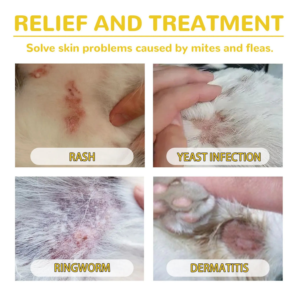 1ml dog flea and tick repellent drops with mugwort and arnica extract in a small vial