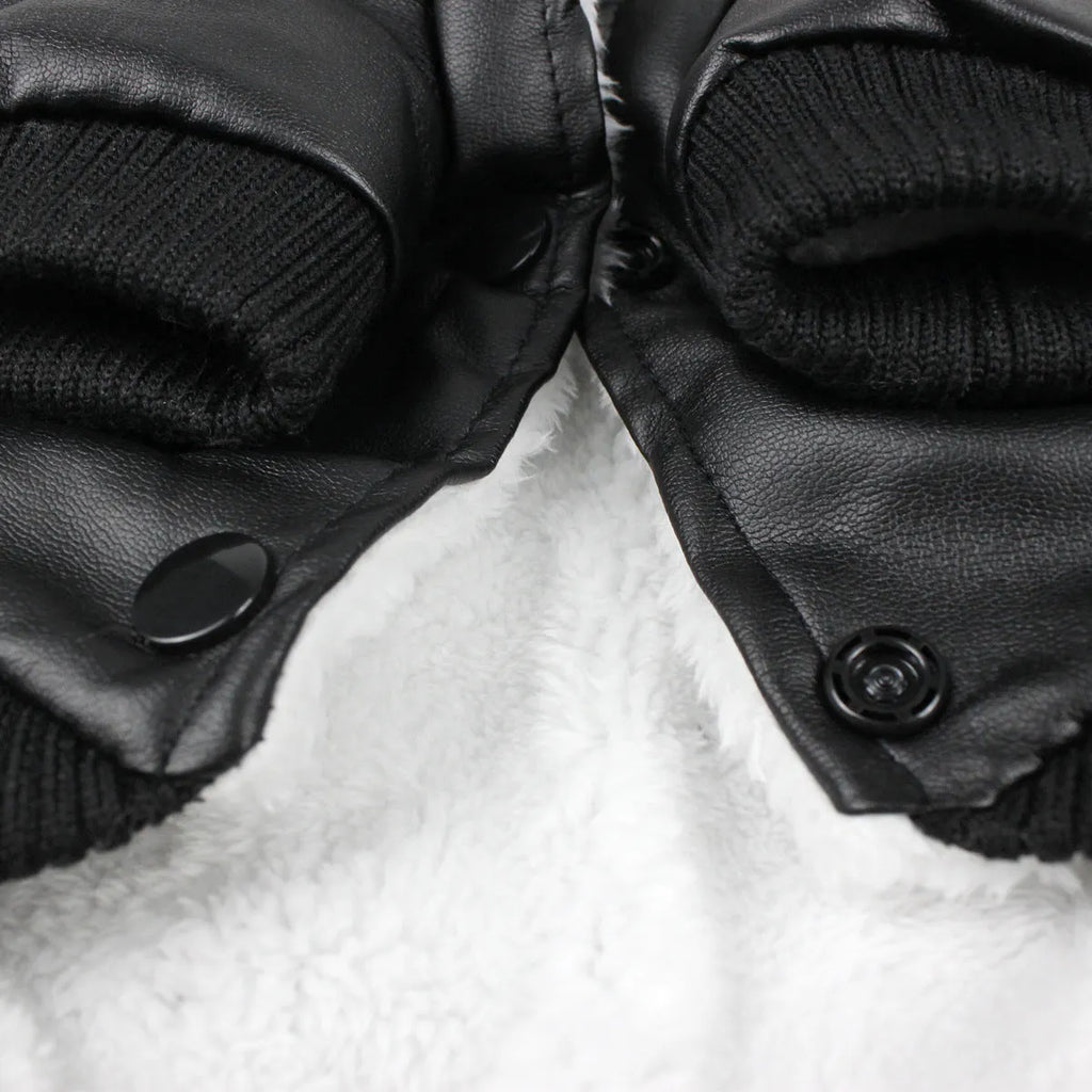 British style black leather dog coat with a white faux fur collar on a dog.