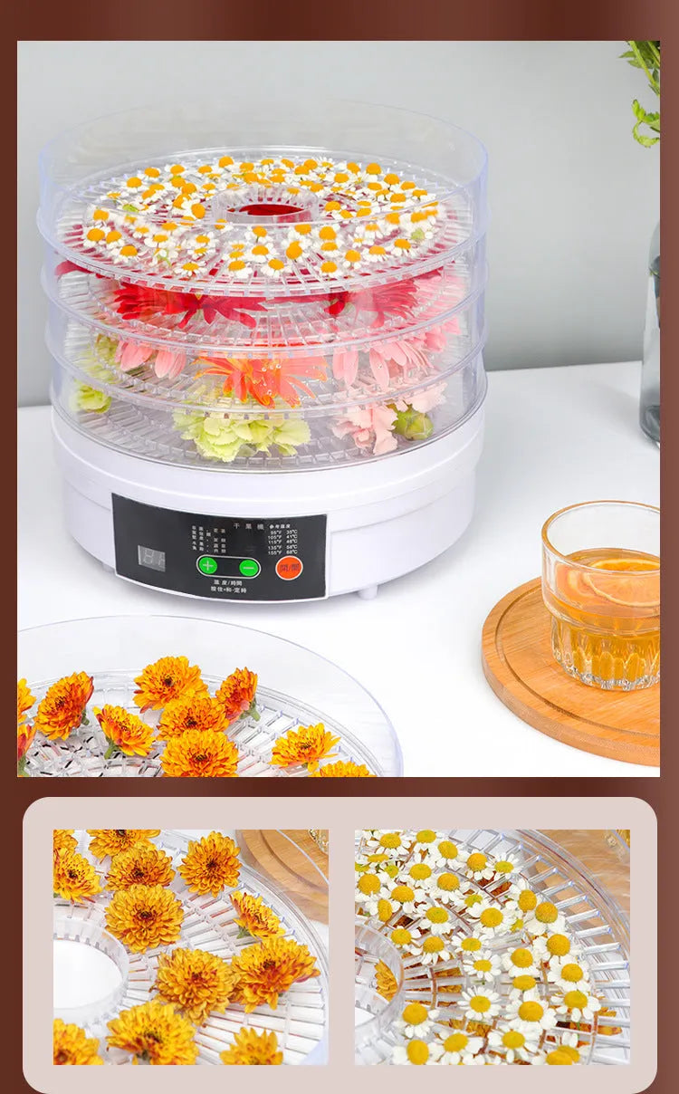 Five-layer stainless steel household food dehydrator with UK plug for kitchen food drying