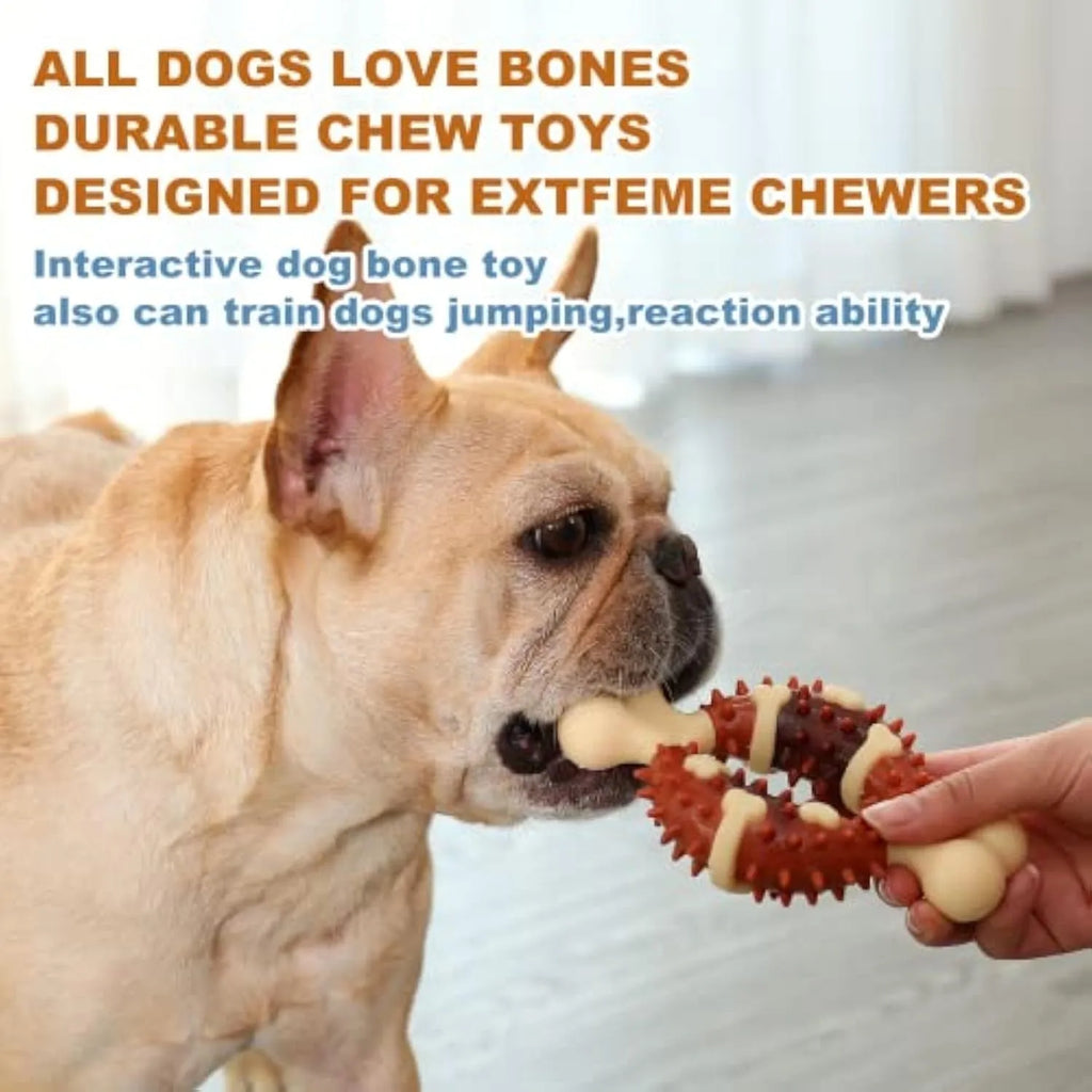 Natural rubber bone-shaped dog chew toy for dental health and anxiety relief in two sizes