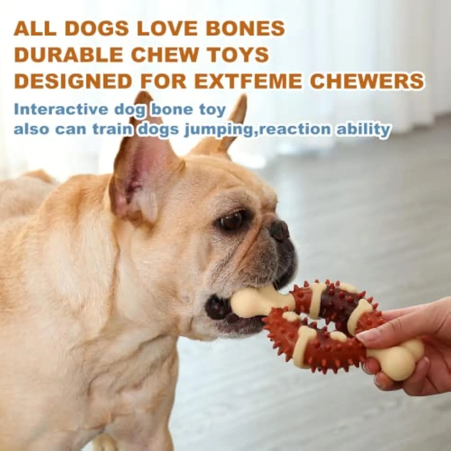 Natural rubber bone-shaped dog chew toy for dental health and anxiety relief in two sizes