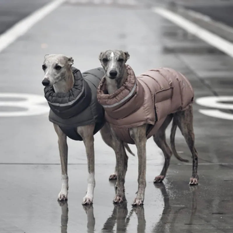 Dog clothes thickened thermal vest cotton coat in grey with adjustable belly band made of recycled polyester for small to large dogs