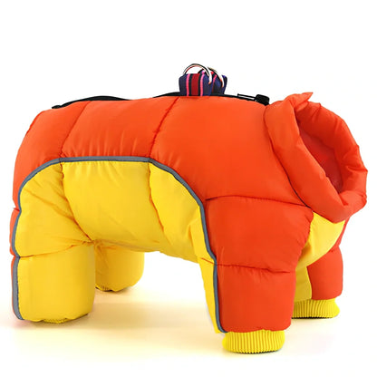 Brown coffee winter cotton jacket on small dog, waterproof thicker coat for puppies in sizes 10-26