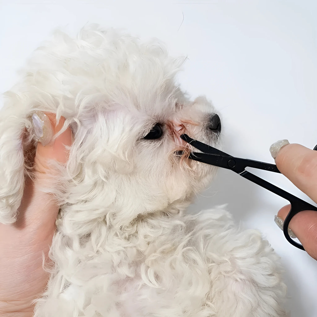Black pet grooming brush with dual-sided silicone bristles and comb for dogs and cats