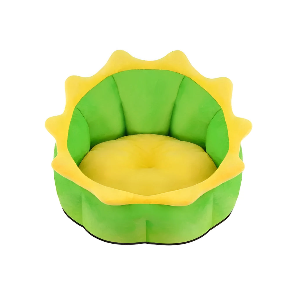 New dinosaur pet bed in Teddy gold fabric, soft and warm, for small cats and dogs up to 15 kg